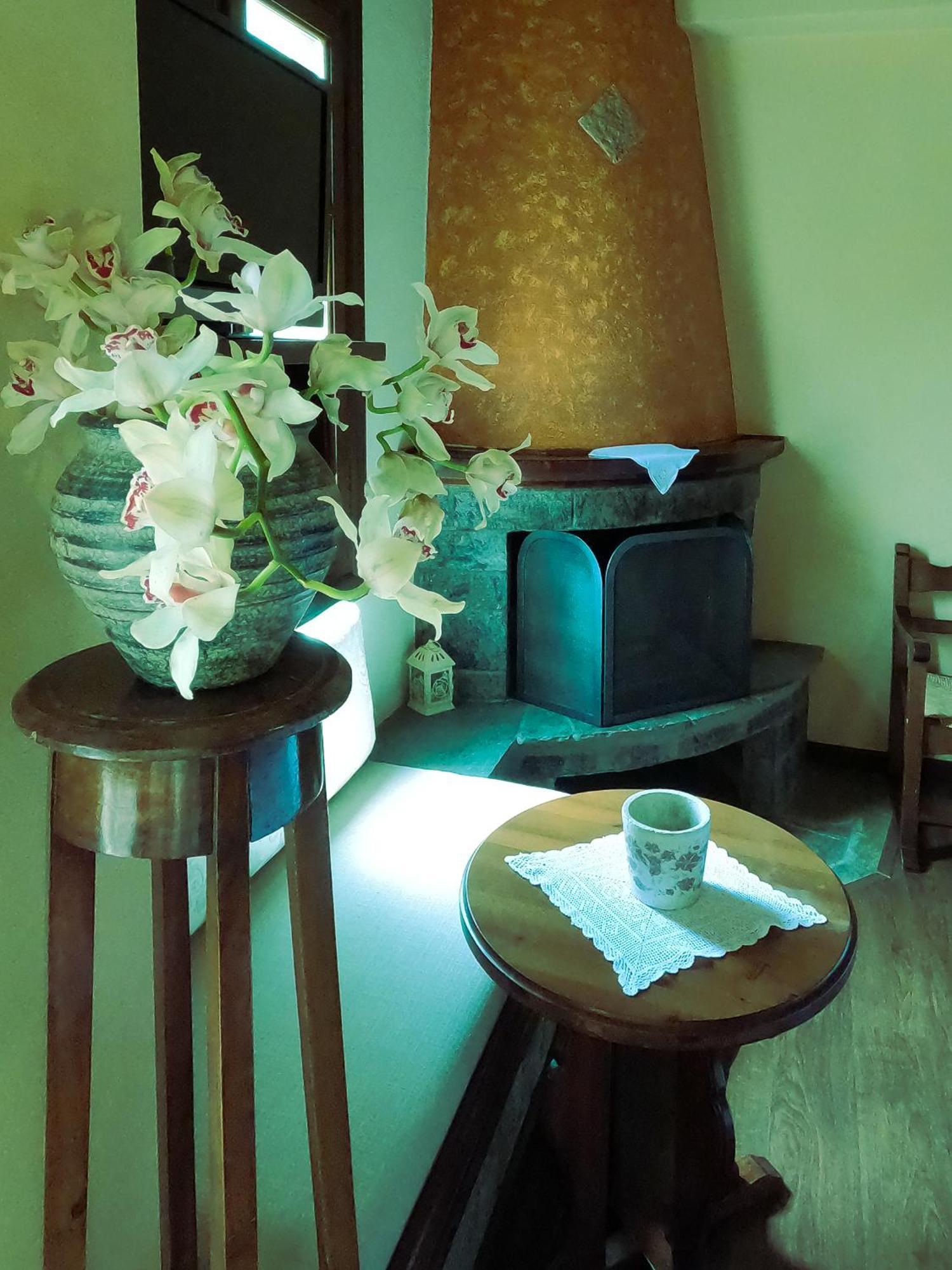 Amalthia Traditional Guesthouse Tsagarada Ruang foto